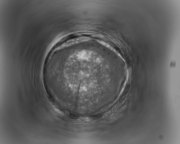 X0000099530195200806061439