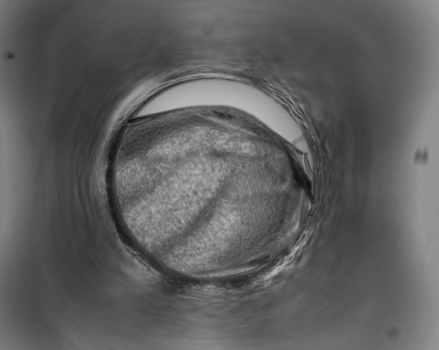 X0000099530197200806061439