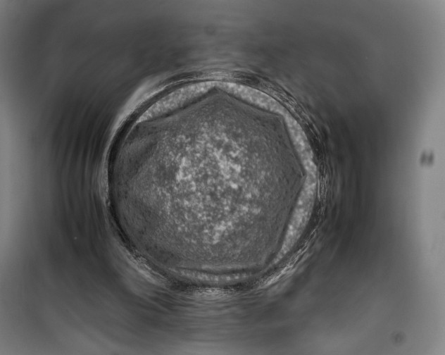 X0000099530198200806061439