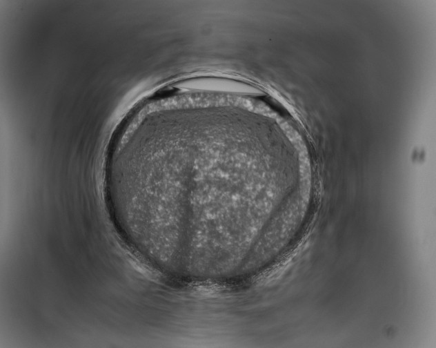 X0000099530199200806061439