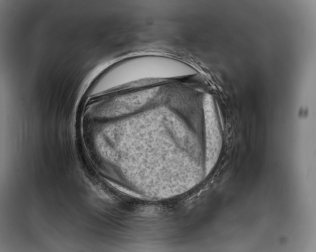 X0000099530200200806061439