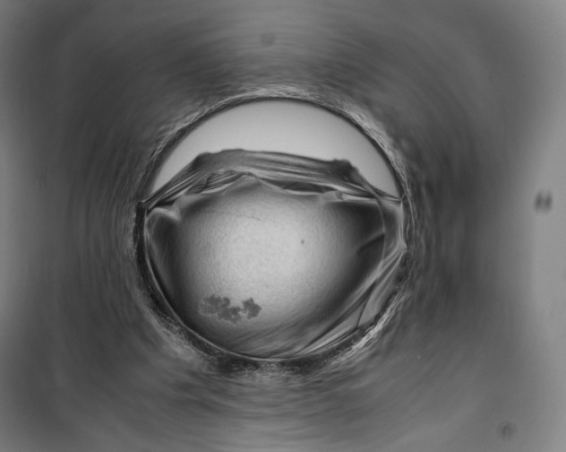 X0000099530201200806061439