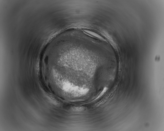 X0000099530202200806061439