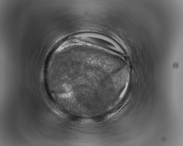 X0000099530203200806061439