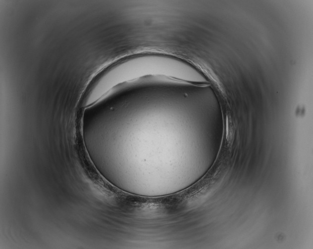 X0000099530204200806061439