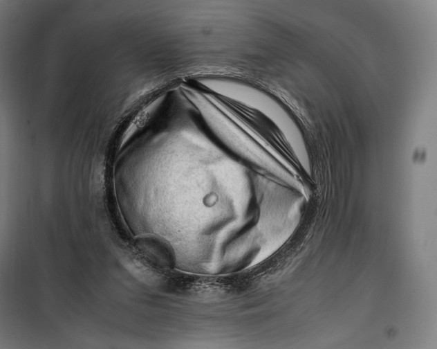 X0000099530207200806061439