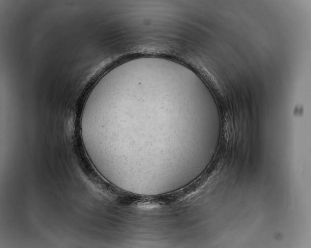 X0000099530208200806061439