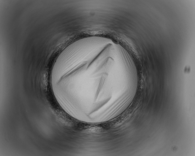 X0000099530210200806061439