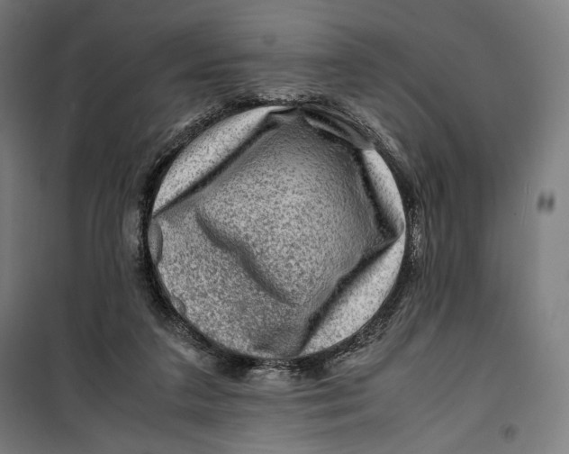 X0000099530211200806061439