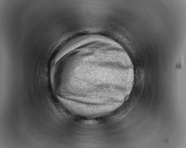 X0000099530212200806061439