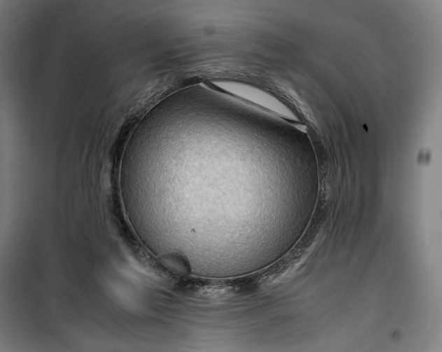 X0000099530213200806061439