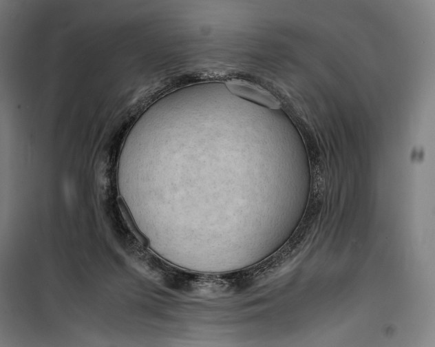 X0000099530215200806061439