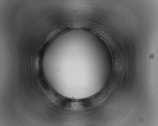 X0000099530216200806061439