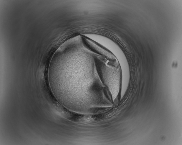 X0000099530217200806061439