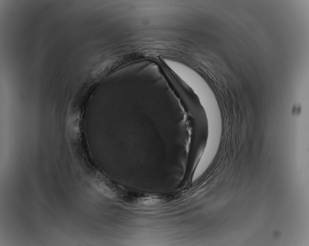 X0000099530219200806061439