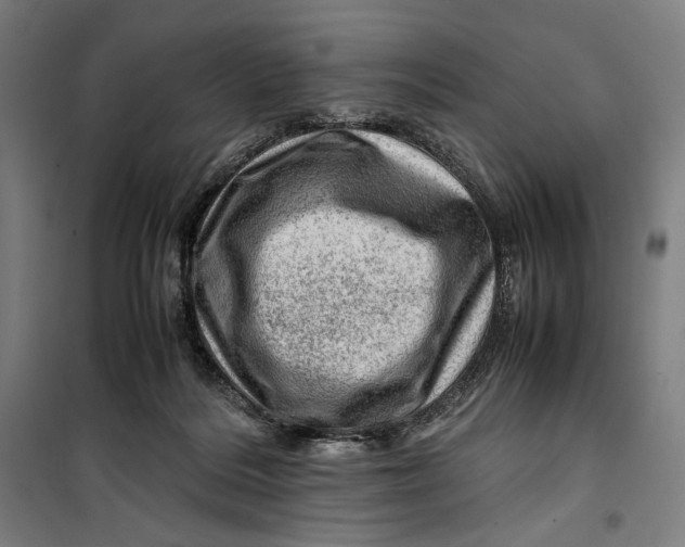 X0000099530220200806061439