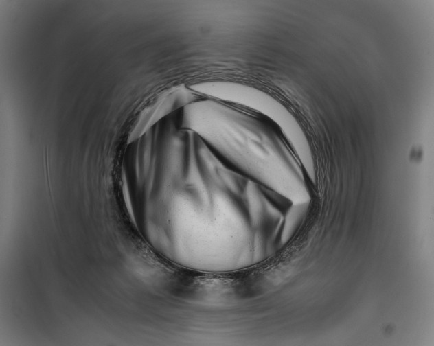 X0000099530221200806061439