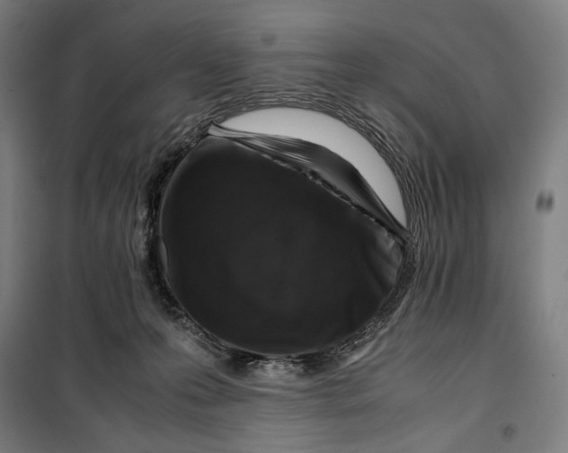 X0000099530223200806061439