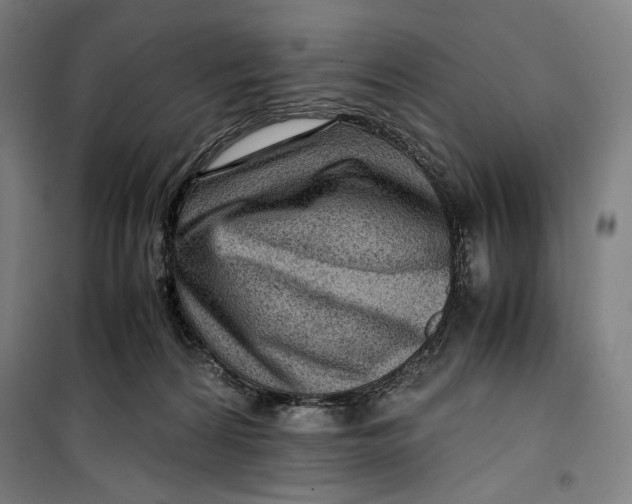 X0000099530224200806061439