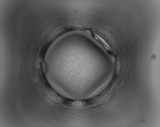 X0000099530225200806061439