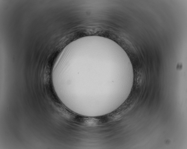 X0000099530226200806061439