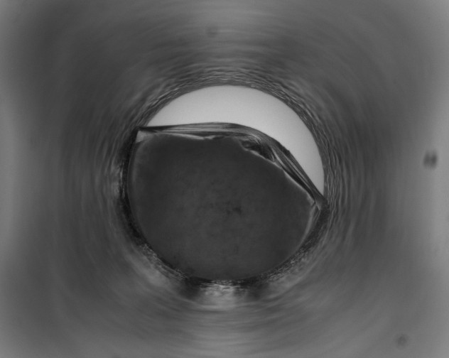 X0000099530227200806061439