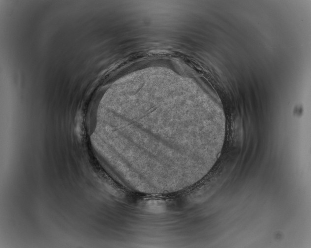 X0000099530228200806061439