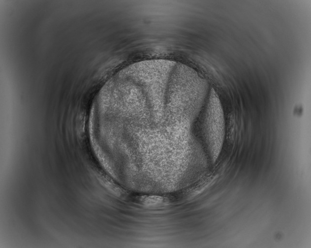 X0000099530230200806061439