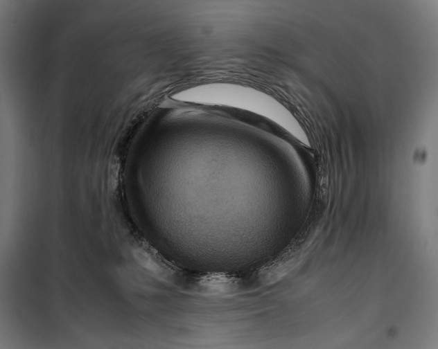 X0000099530231200806061439