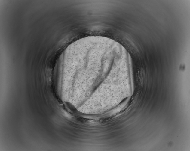 X0000099530232200806061439