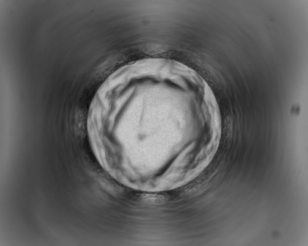 X0000099530234200806061439