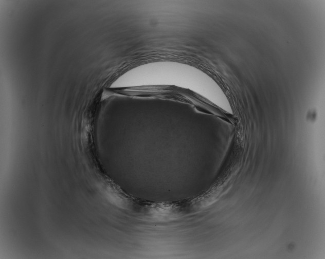 X0000099530235200806061439