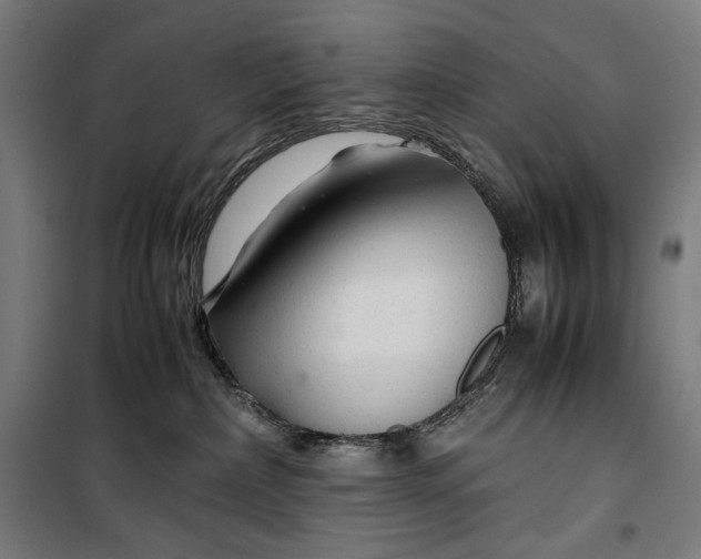 X0000099530236200806061439