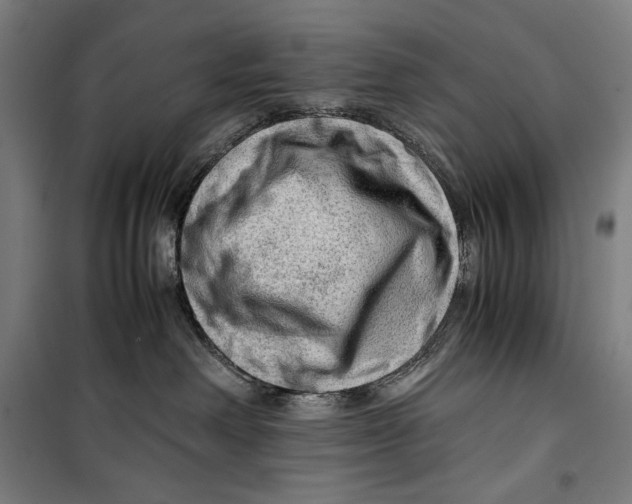 X0000099530238200806061439