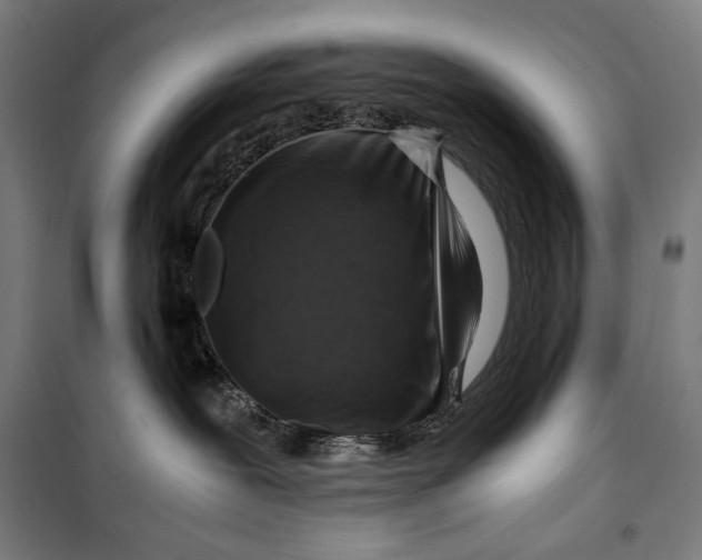 X0000099530239200806061439