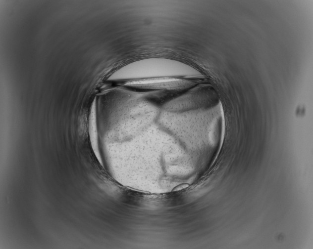 X0000099530240200806061439