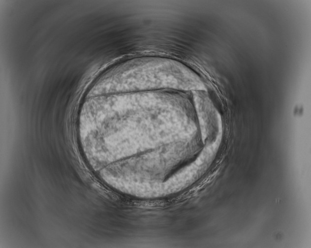 X0000099530241200806061438