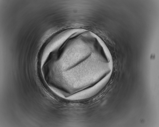 X0000099530242200806061438