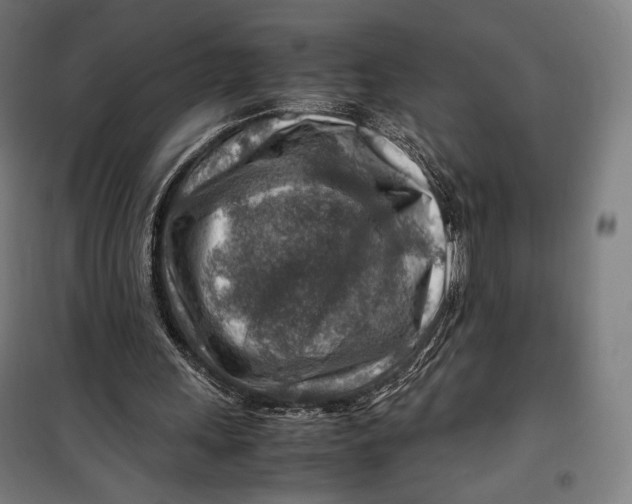 X0000099530243200806061438