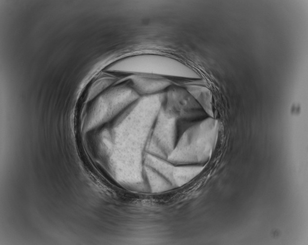 X0000099530244200806061438