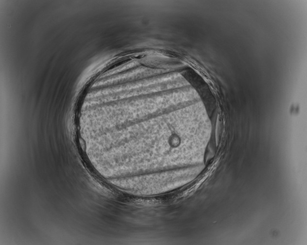 X0000099530245200806061438