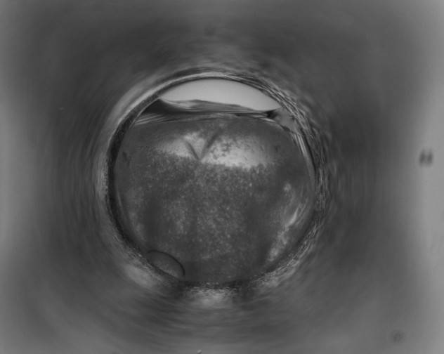 X0000099530247200806061438