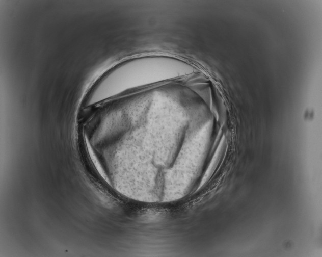 X0000099530248200806061438