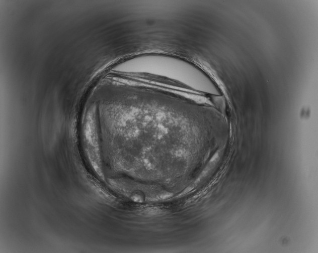 X0000099530249200806061438