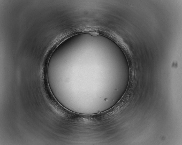 X0000099530250200806061438