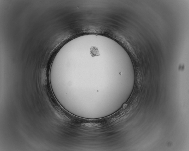 X0000099530251200806061438