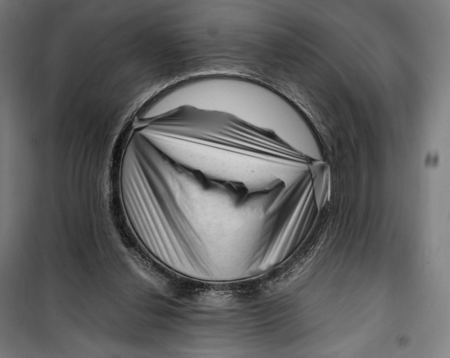 X0000099530252200806061438