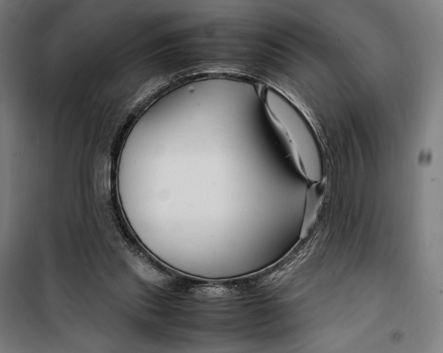 X0000099530253200806061438