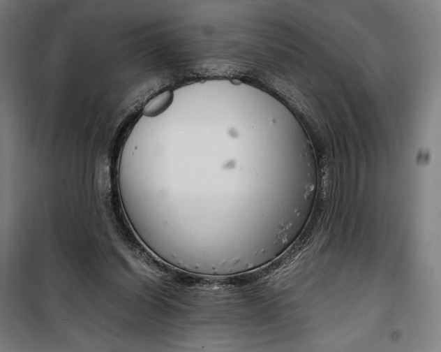 X0000099530254200806061438