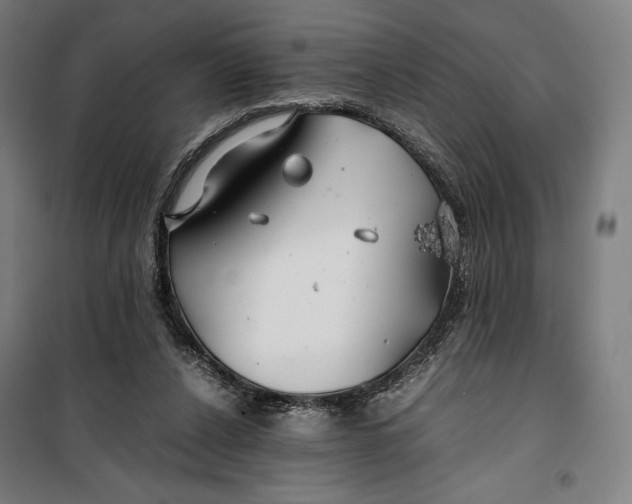 X0000099530256200806061438